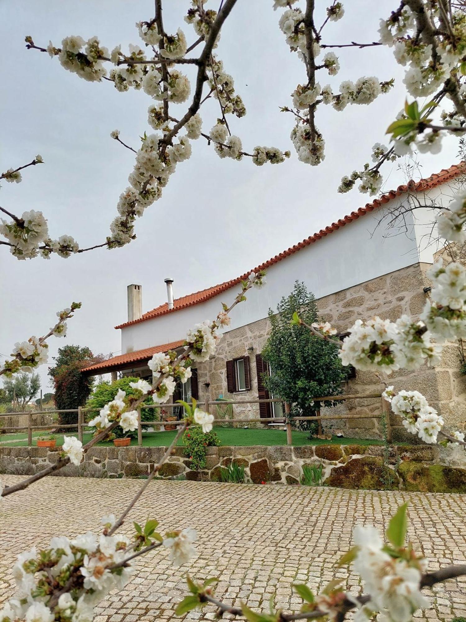 Villa A Casa Do Soito Oliveira do Hospital Esterno foto